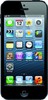 Apple iPhone 5 64GB - Павловский Посад